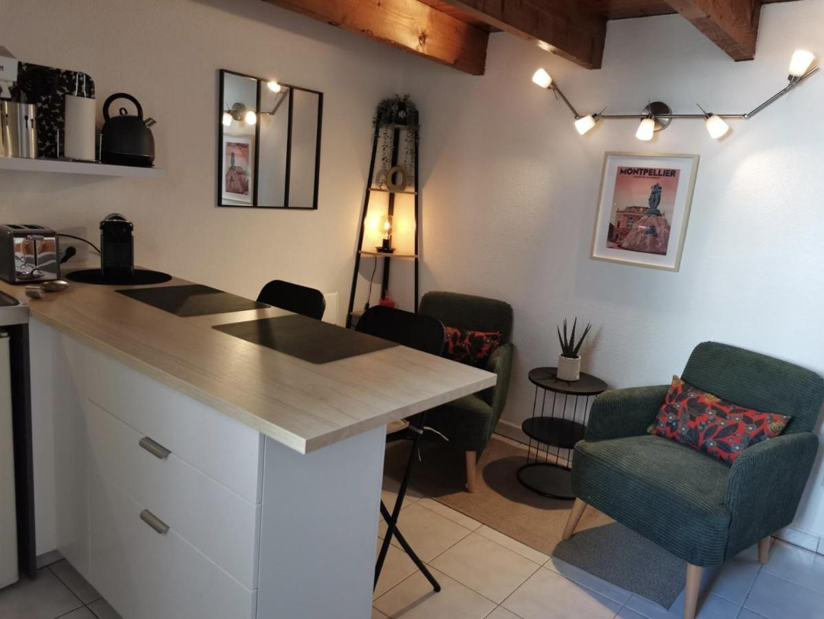 Le Studio De La Comedie, Montpellier, Hyper-Centre Daire Dış mekan fotoğraf